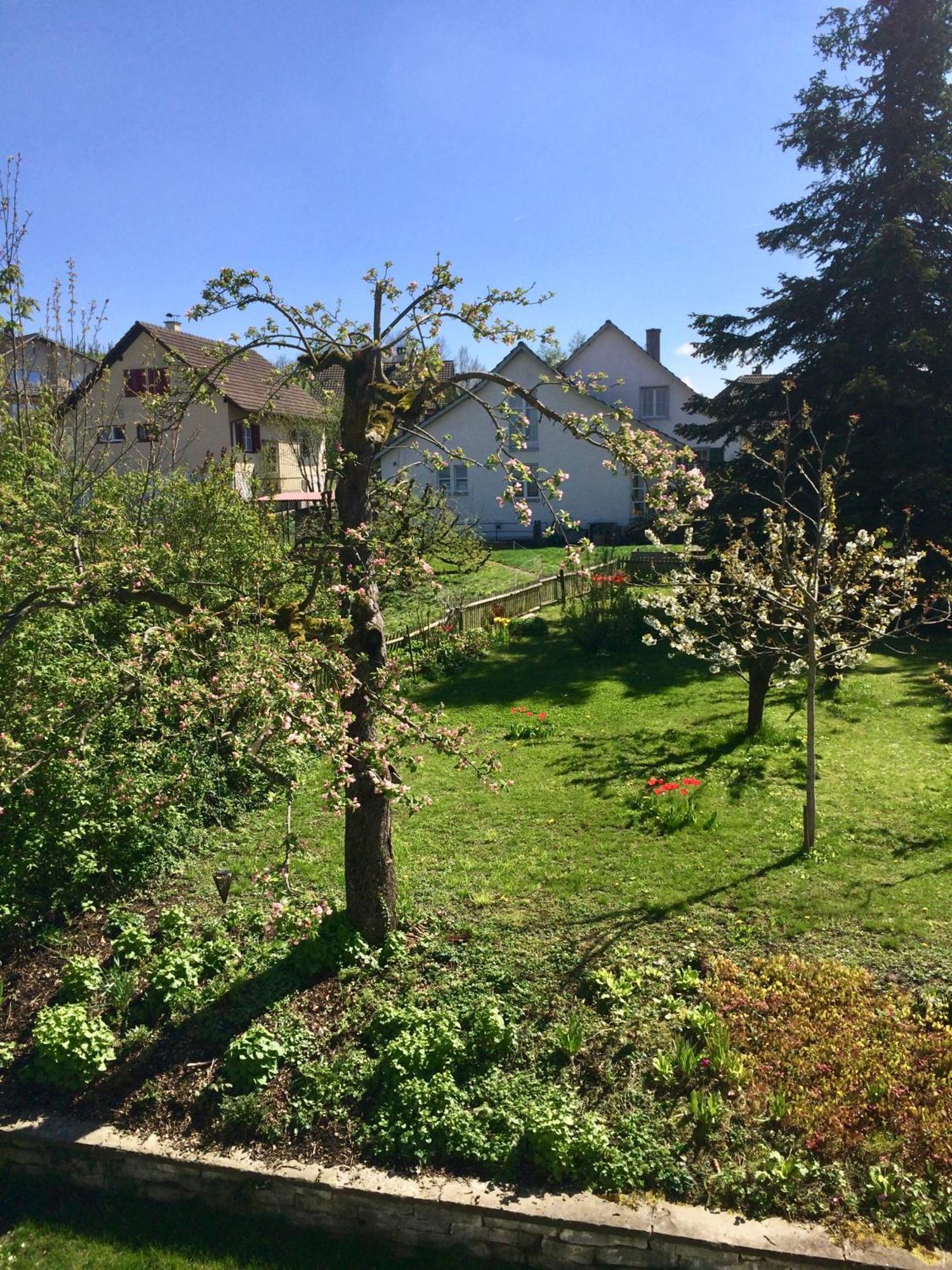 Guntli'S Family Guesthouse Andelfingen Zewnętrze zdjęcie