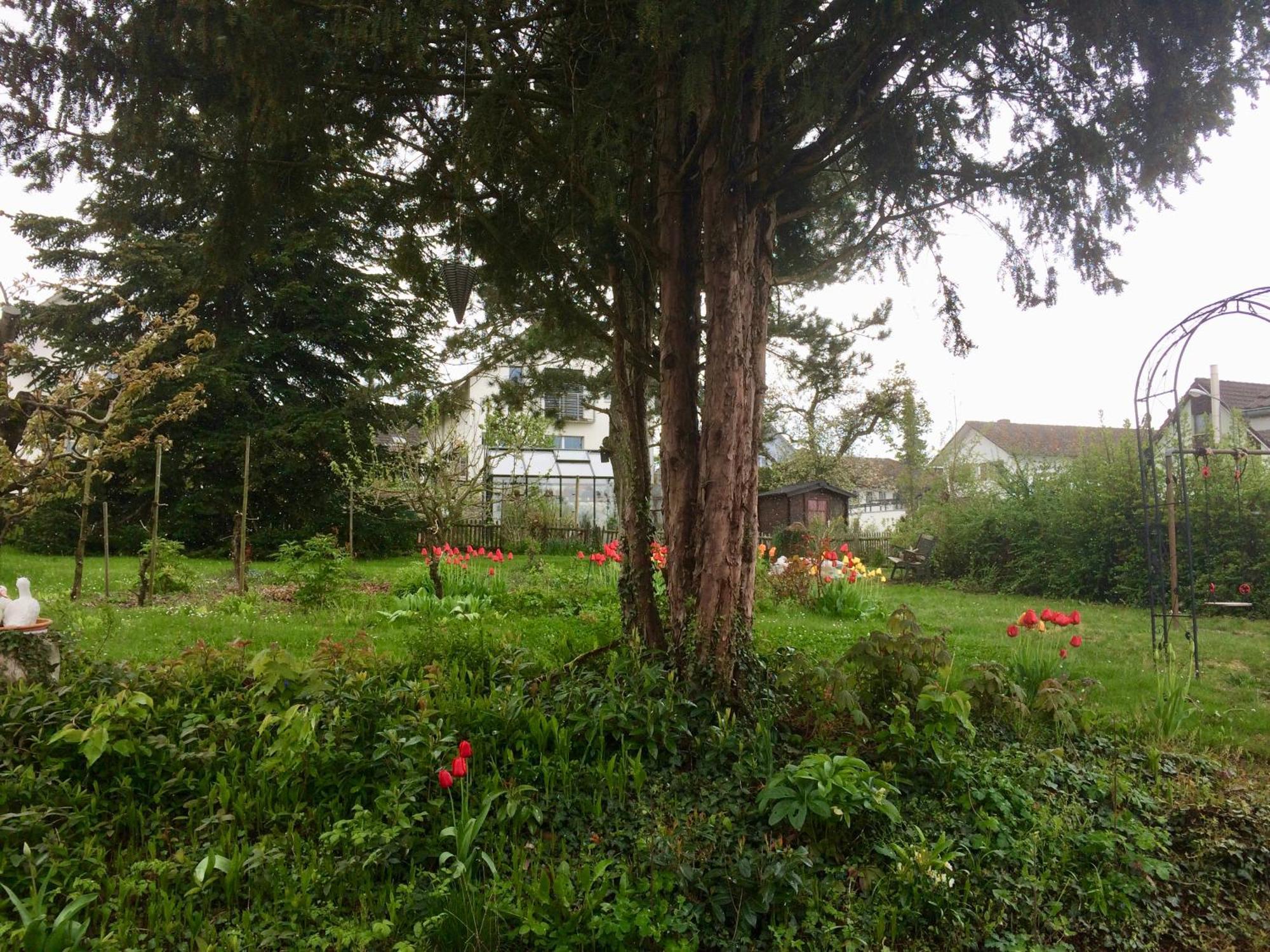Guntli'S Family Guesthouse Andelfingen Zewnętrze zdjęcie